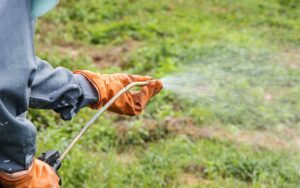 Understanding a Paraquat lawsuit