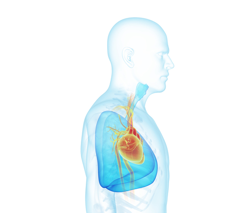 IVC filter lawsuit join, IVC filter lawsuit attorney, lawyer for IVC filter lawsuit, inferior vena cava filter lawsuit, IVC filter lawsuit, contact an inferior vena cava IVC filter lawsuit attorney,