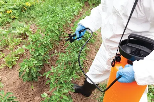 Roundup Residues in Food Supply: Could Dietary Exposure Lead to New Liability Claims? Glyphosate Usage