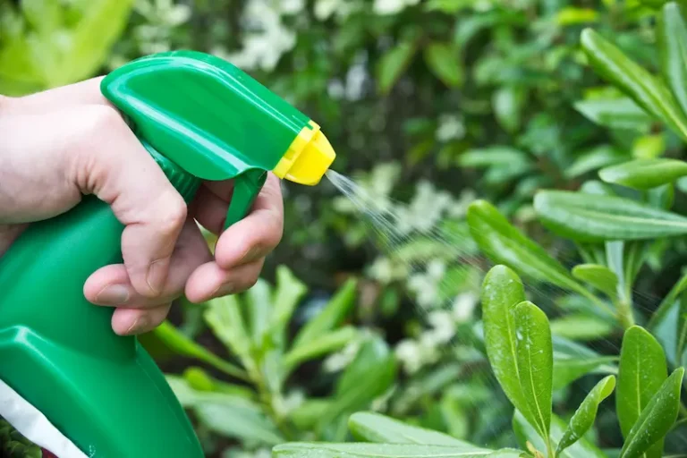 A person sprays an herbicide on a bush, representing glyphosphate exposure and a potential lawsuit for Roundup cancer.