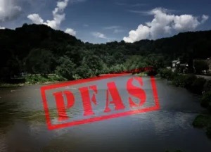 Exposed to PFAS from a contaminated lake.
